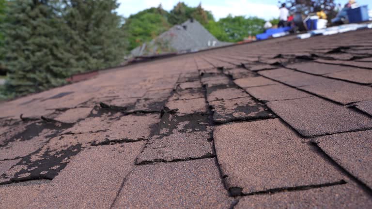 Best Emergency Roof Repair Services  in Deer Park, OH