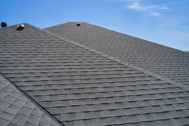 Best Roof Moss and Algae Removal  in Deer Park, OH